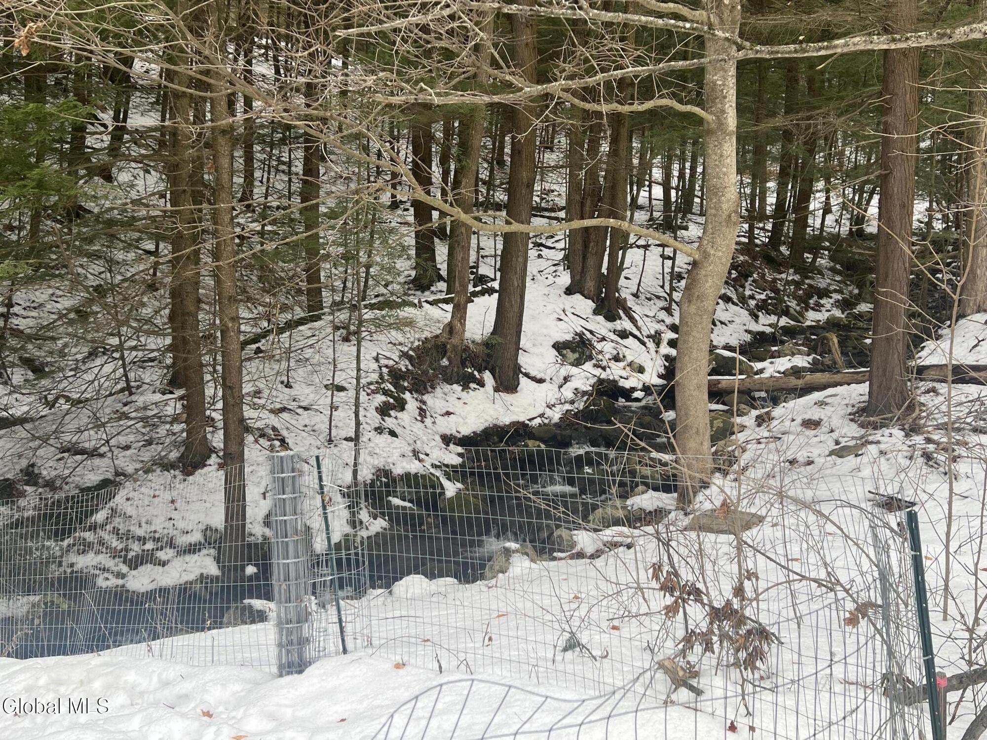 780 Diamond Point Road Diamond Point, NY 12824 - Photo 8 of 35 IMG_9609