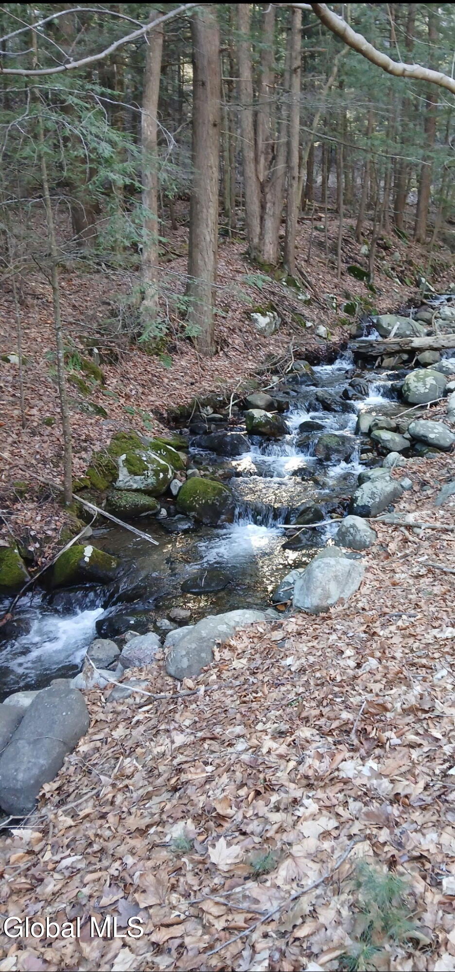 780 Diamond Point Road Diamond Point, NY 12824 - Photo 9 of 35 233446579233743455