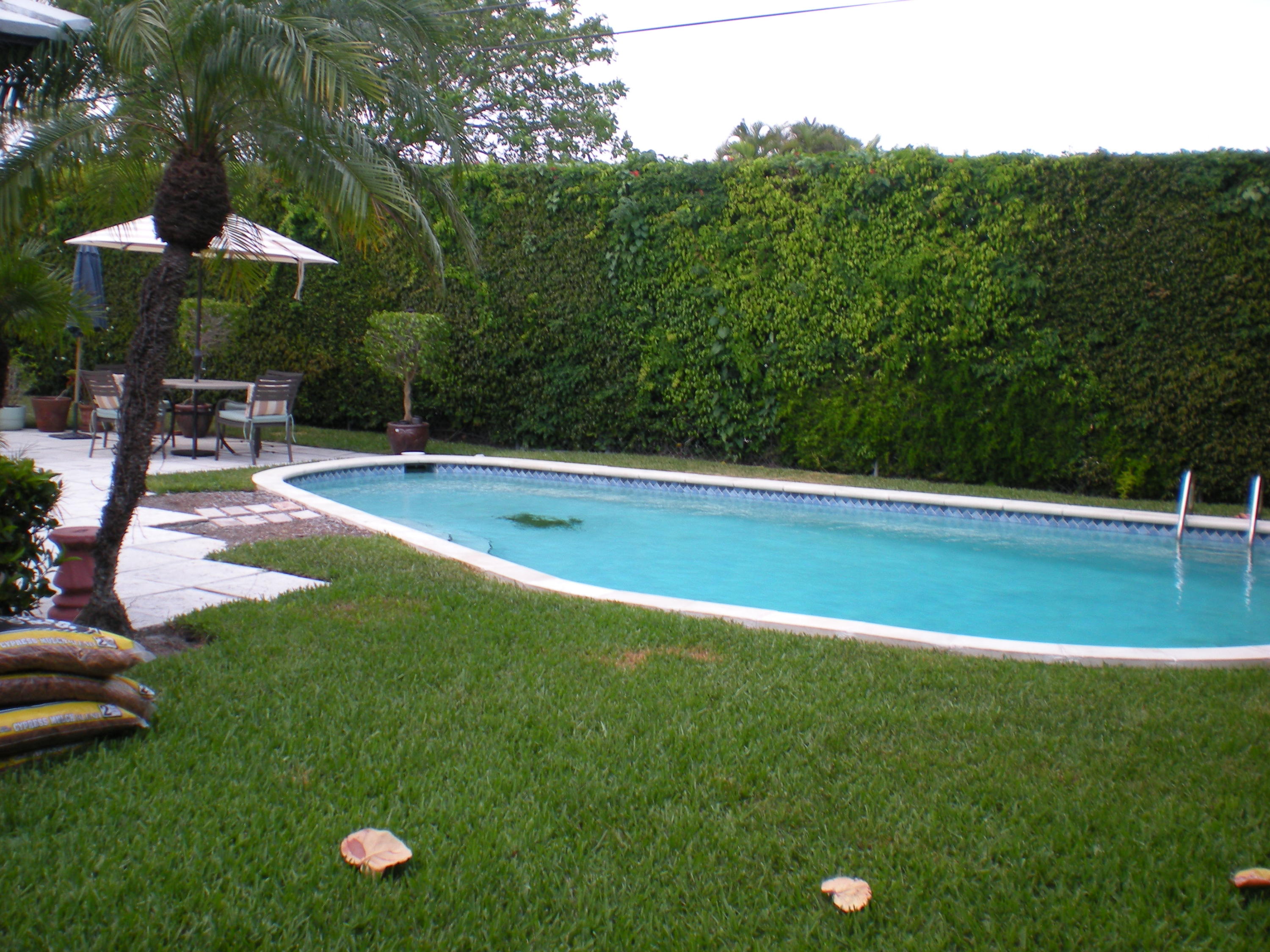 217 Edmor Road West Palm Beach, FL 33405 - Photo 13 of 15 Pool & Yard