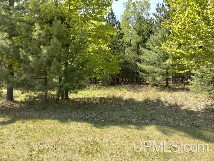 10441 Breezy R.22 Lane Rapid River, MI 49878 - Photo 3 of 5