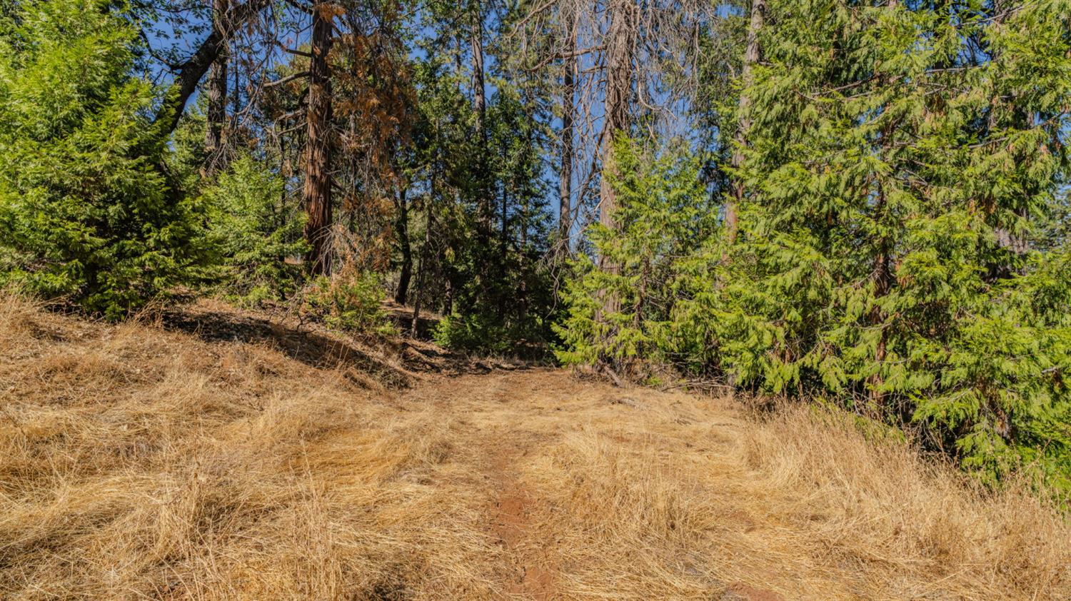 11456 Gold Strike Road Pine Grove, CA 95665 - Photo 7 of 24 Gallery Image 7