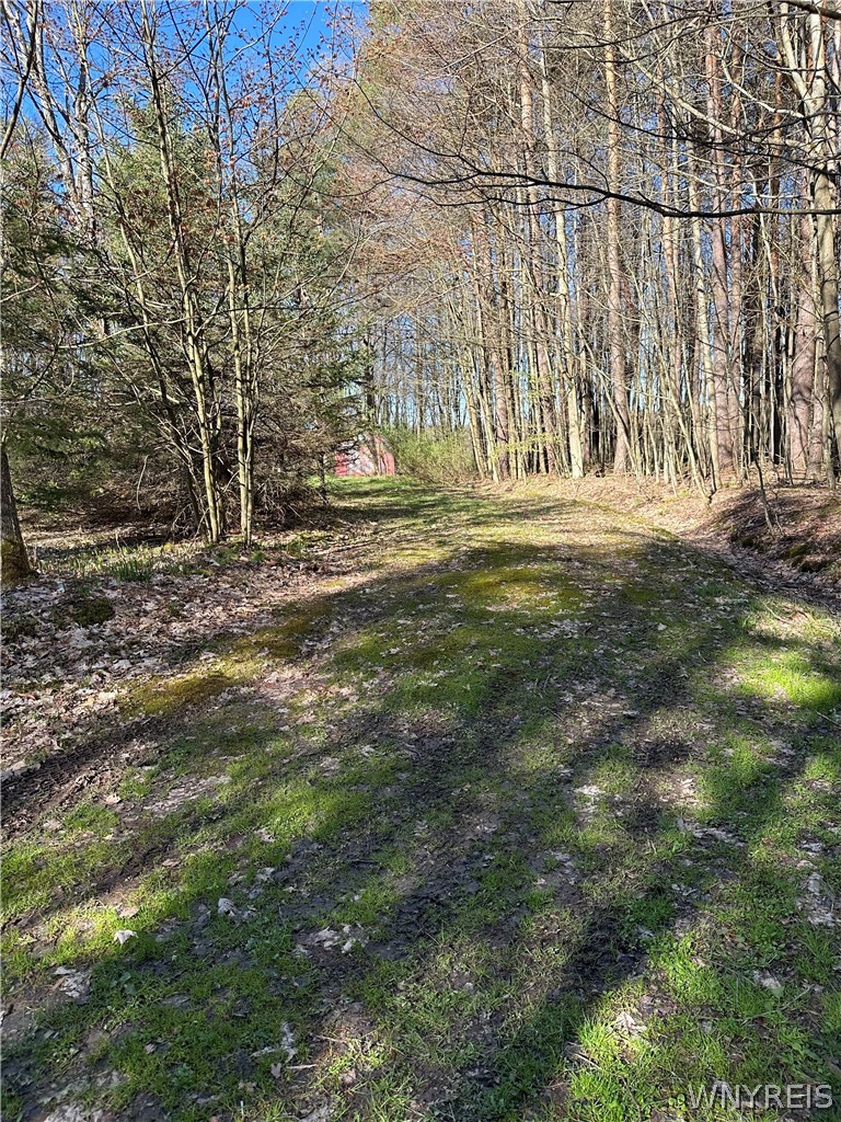 3631 Pine Ridge Road Cuba, NY 14727 - Photo 7 of 31 driveway