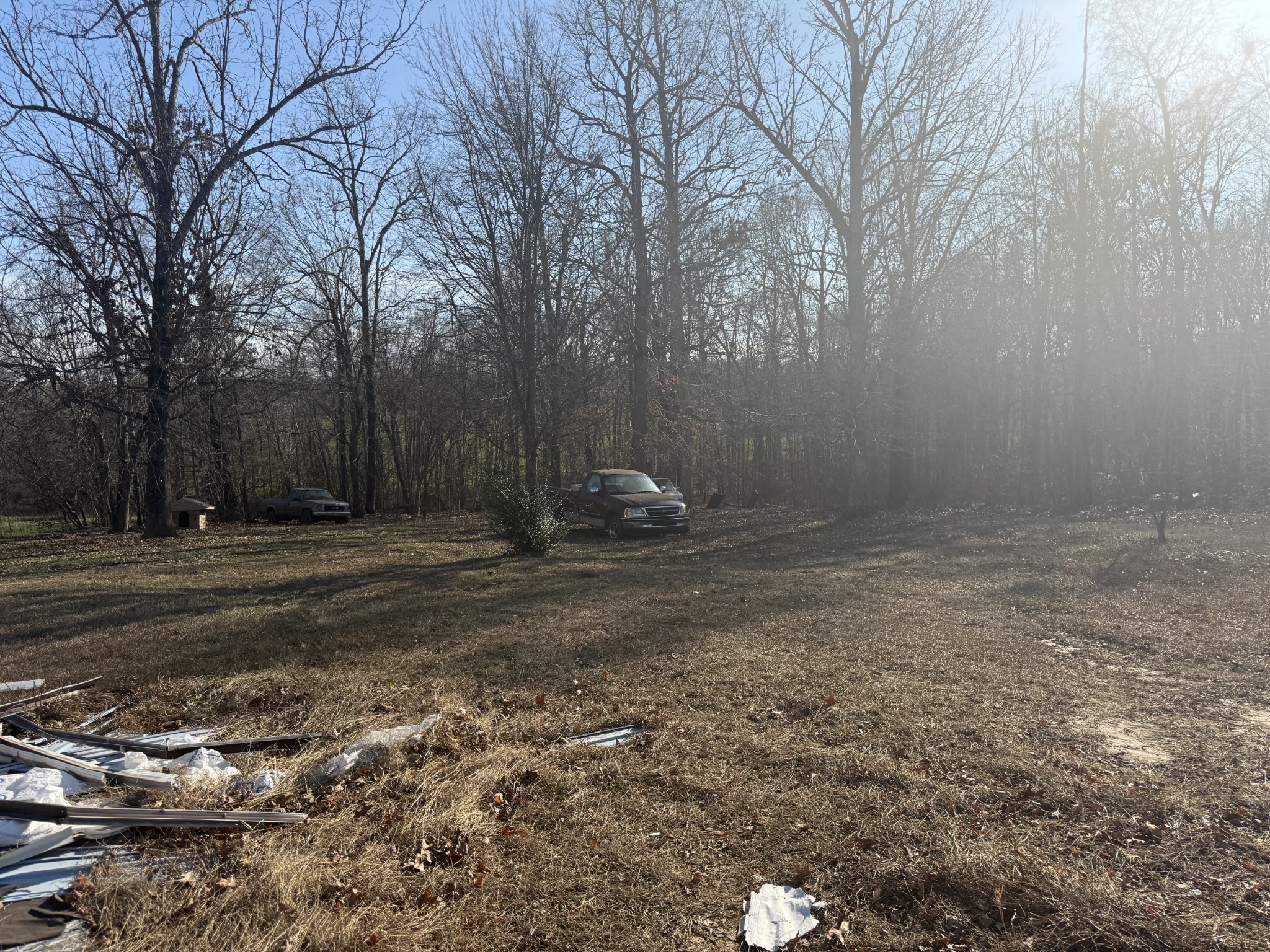 791 Delmont Church Road Cadiz, KY 42211 - Photo 2 of 8 a backyard of a house with lots of green space