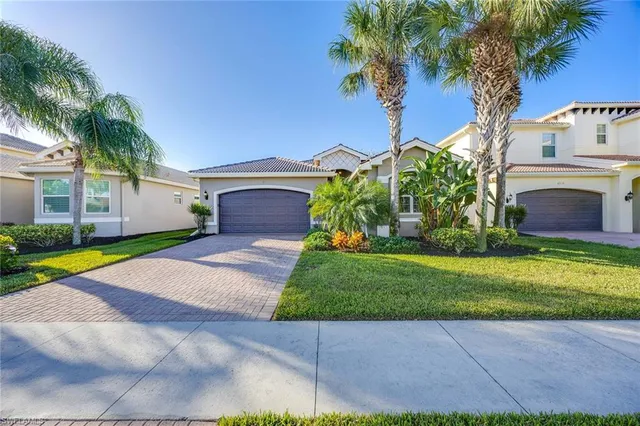 a view of a backyard with plants and a palm tree