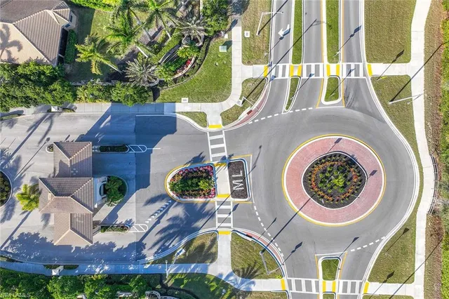 a view of a garden with a palm tree