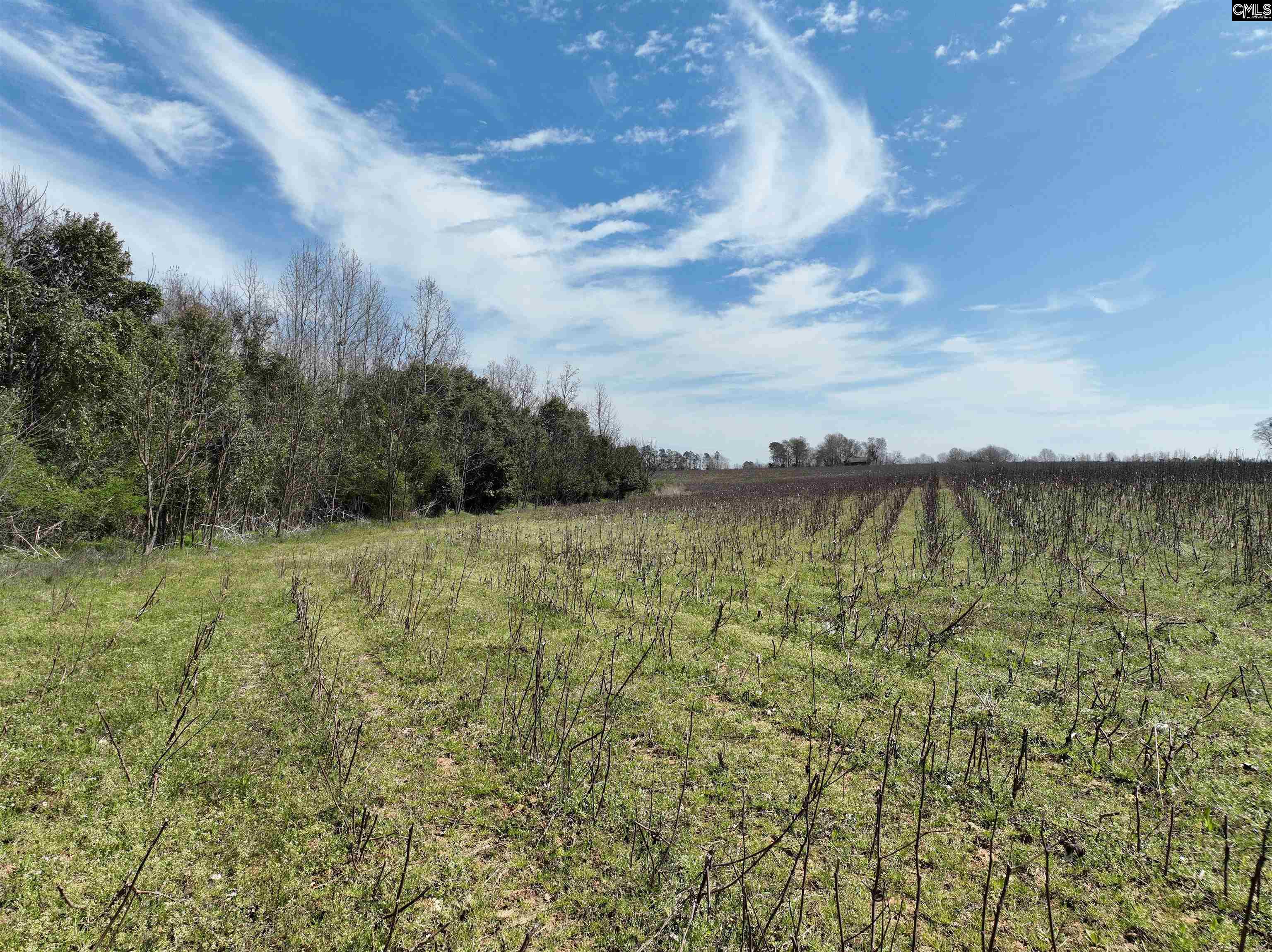 0 Dr Boylston Road Salley, SC 29137 - Photo 32 of 41