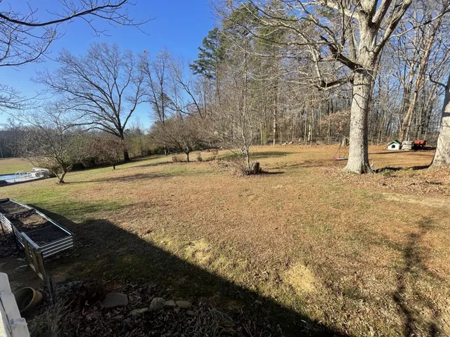 a view of yard with tree