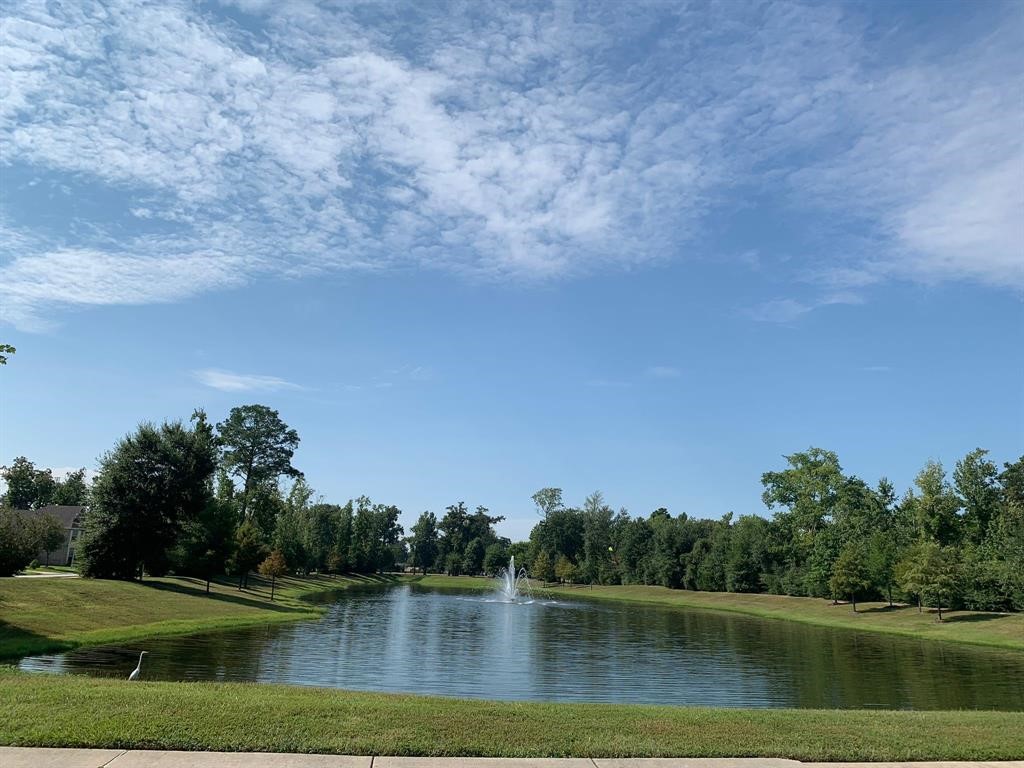 22019 Flashing Ridge Drive Spring, TX 77389 - Photo 43 of 45