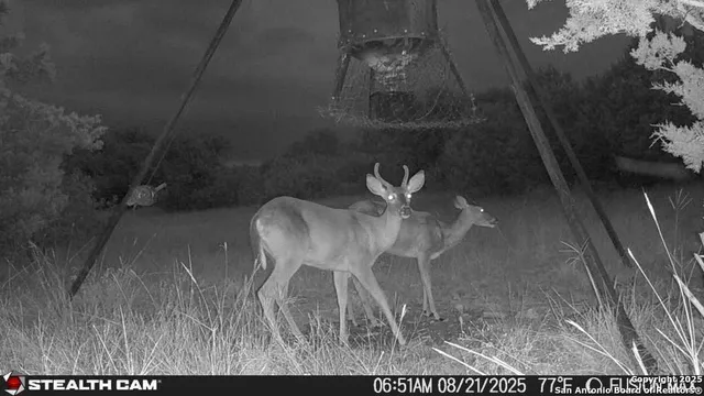 a picture of a room with a wooden floor
