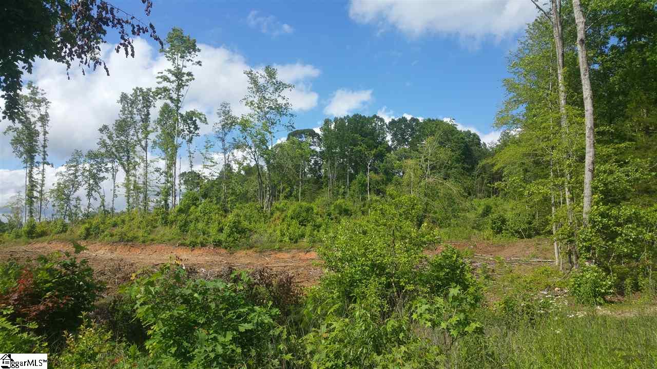 0 Cheyenne Trail Liberty, SC 29657 - Photo 1 of 3 Gallery Image 1
