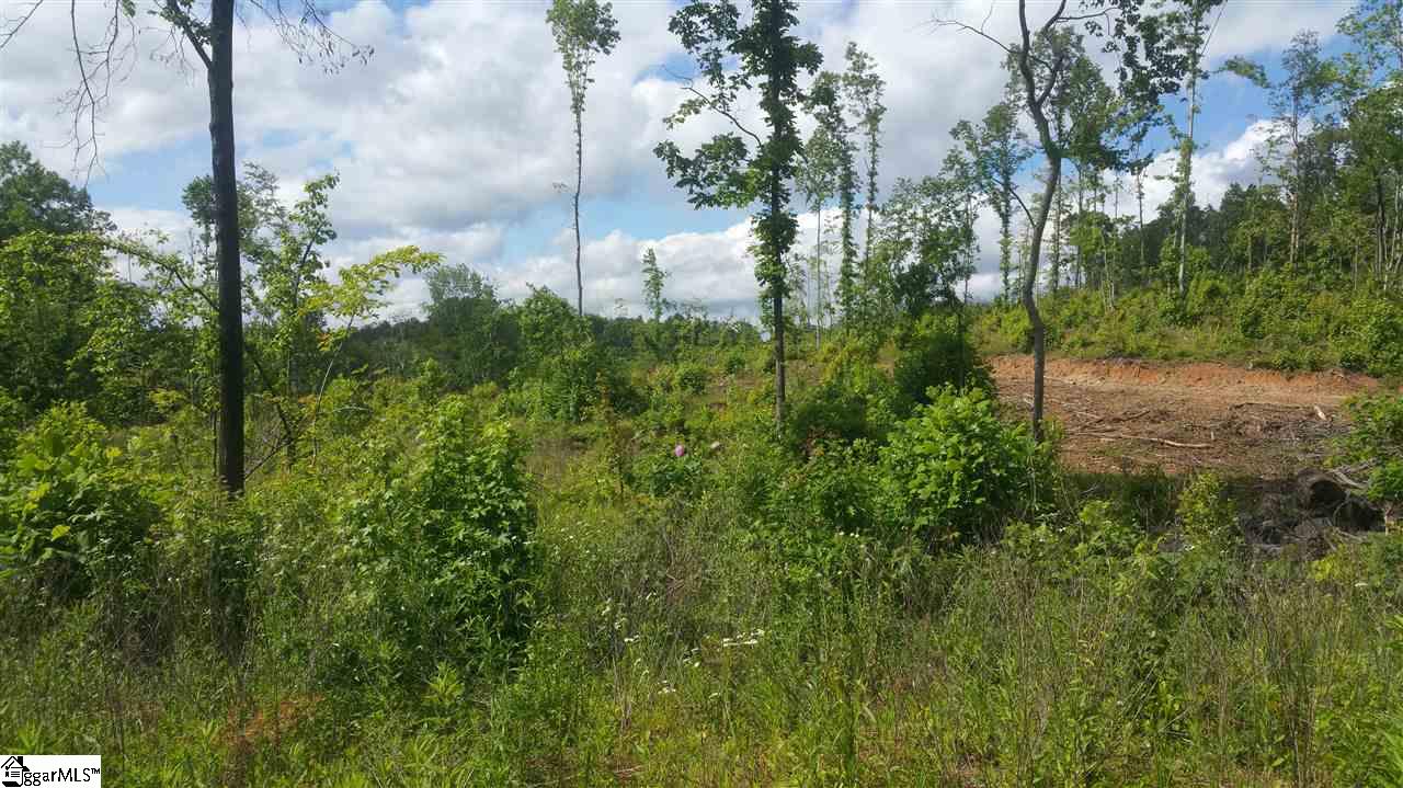 0 Cheyenne Trail Liberty, SC 29657 - Photo 2 of 3 Gallery Image 2
