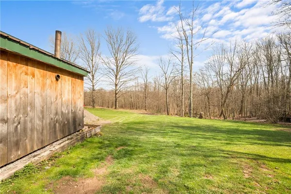 a view of a backyard with large trees