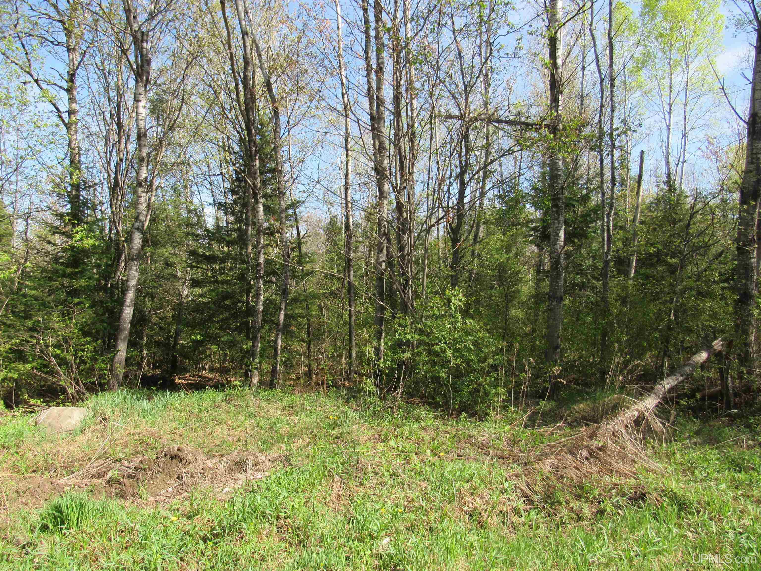 Tbd Us 141 Road, Unit LUKES ROAD Amasa, MI 49903 - Photo 8 of 22