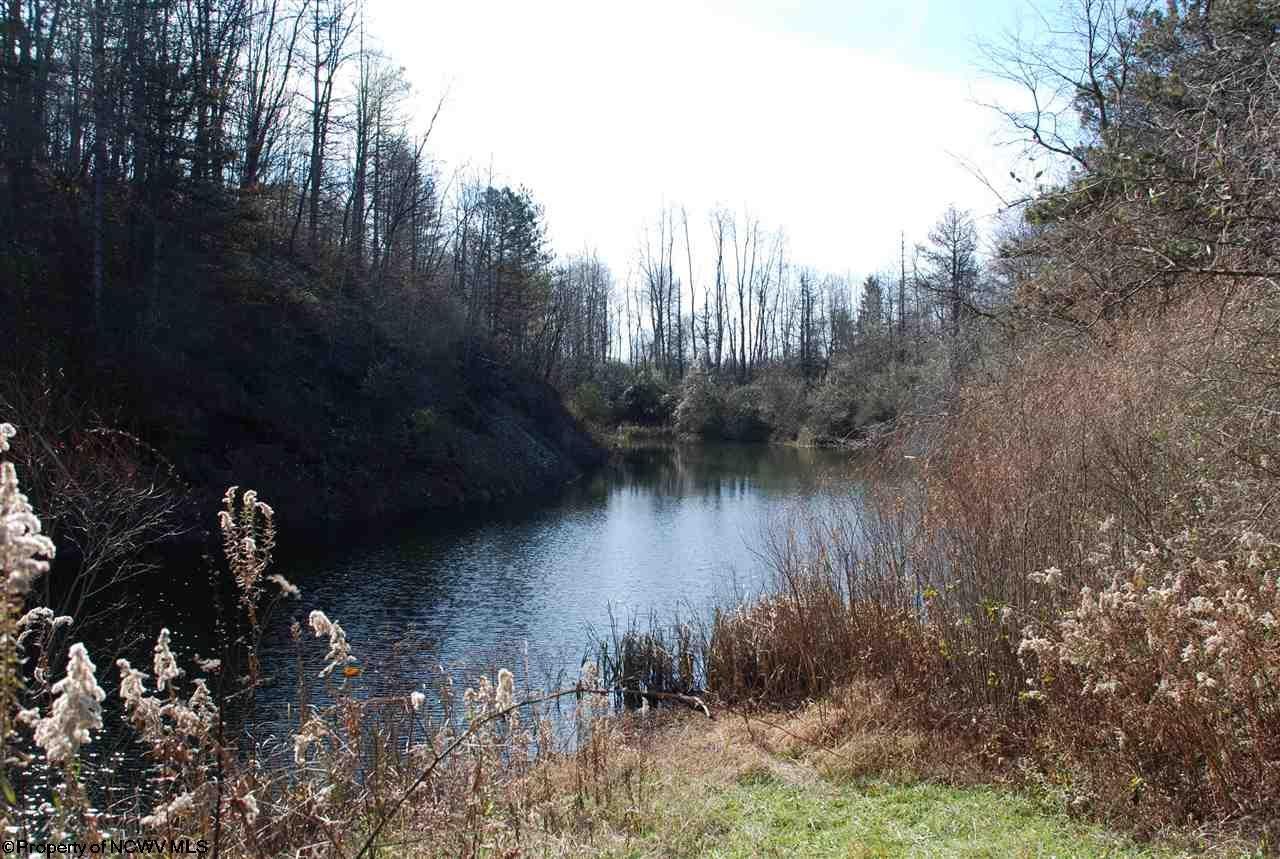 0 West Moccasin Rocks Road Bruceton Mills, WV 26525 - Photo 2 of 4 Gallery Image 2