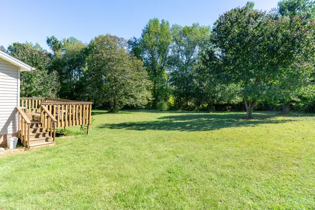 a view of a chair and table in the garden