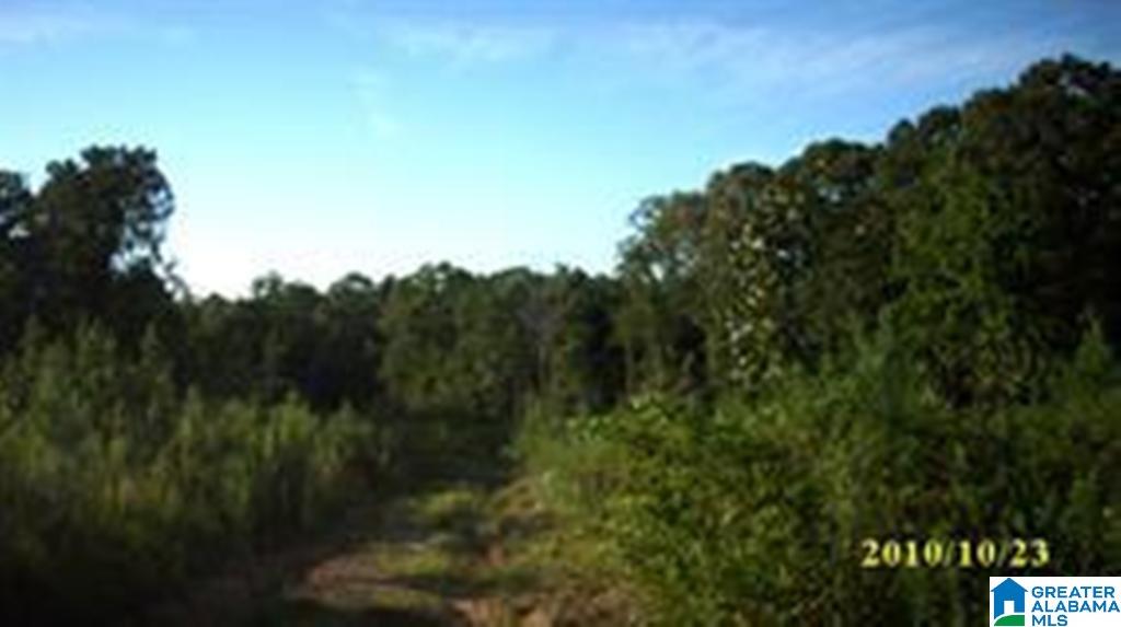 Eureka Road, Unit 1 Lincoln, AL 35096 - Photo 28 of 34