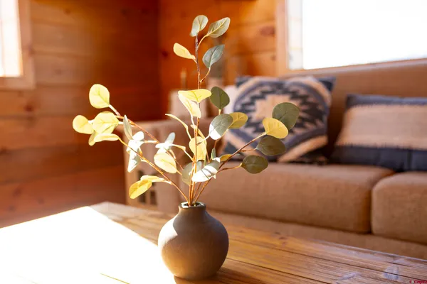 a view of flowerpot with wooden floor
