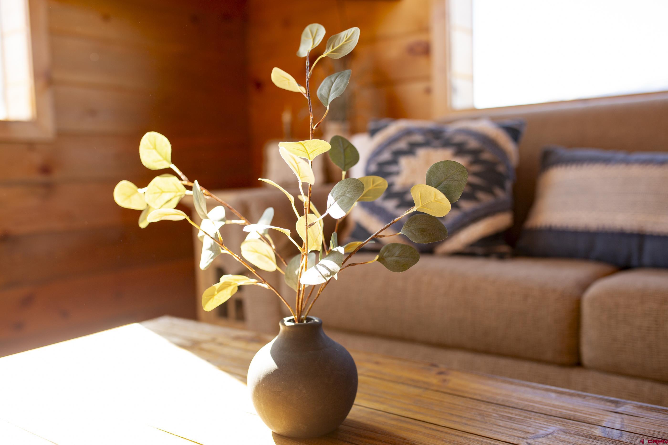 415 Ridge Drive Creede, CO 81130 - Photo 6 of 28 a view of flowerpot with wooden floor