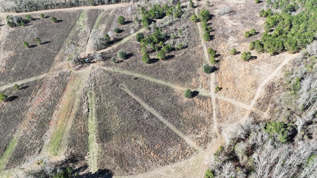 Vacant Kelly-Collins Road Climax, GA 39834 - Photo 10 of 65 Gallery Image 10