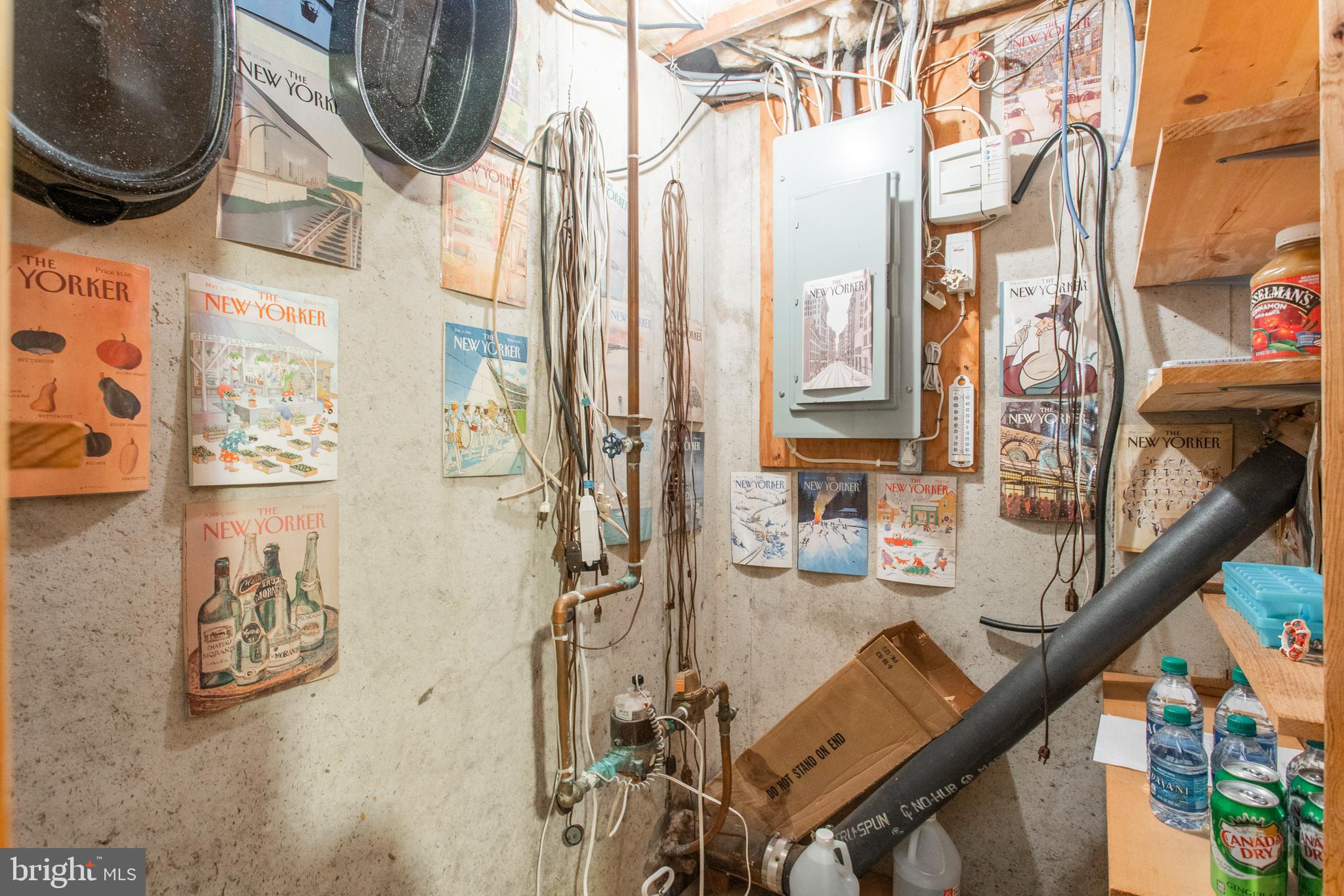 154 Poplar Road Newtown Square, PA 19073 - Photo 39 of 56 "Cold cellar" in basement.