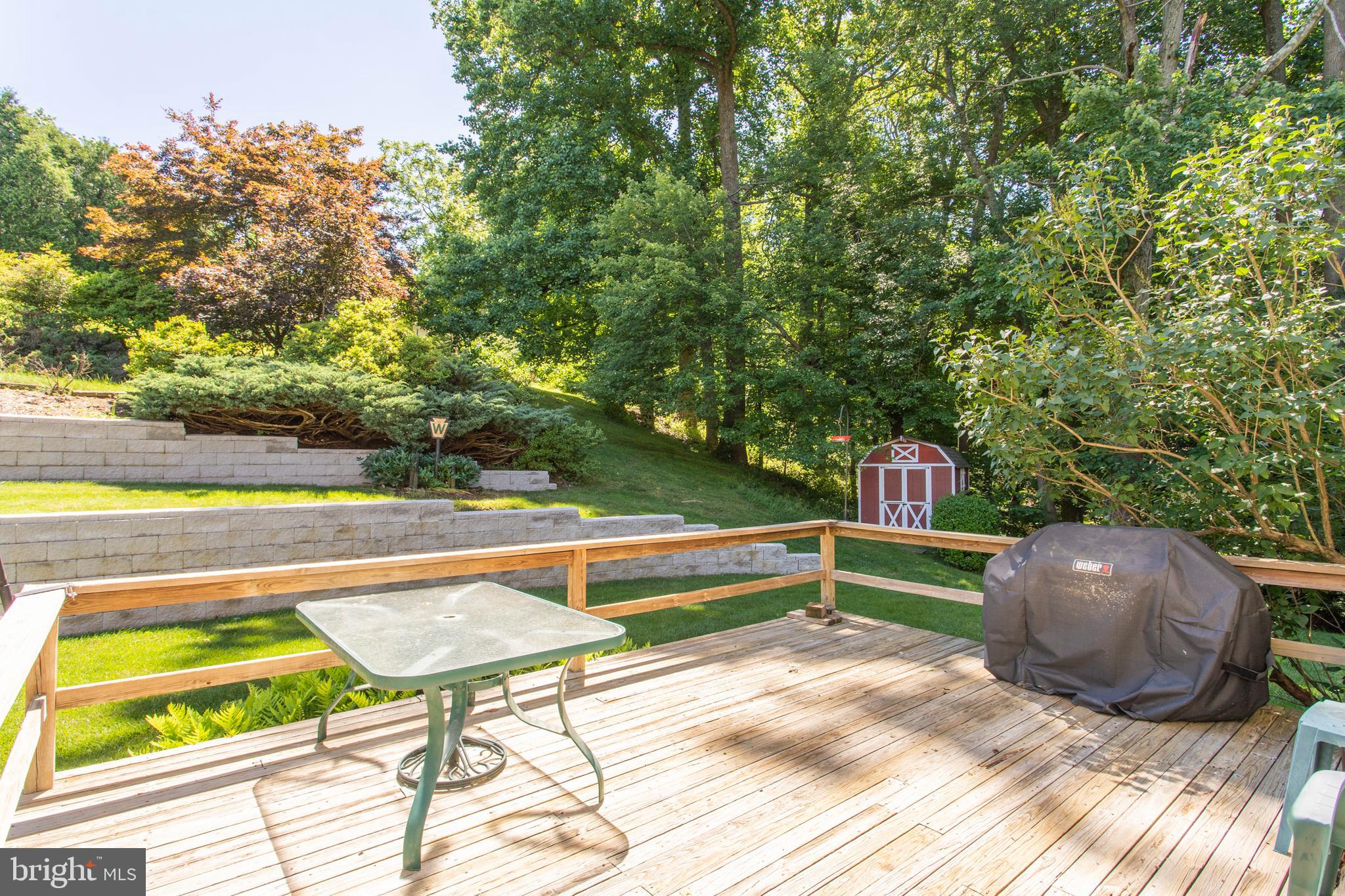 154 Poplar Road Newtown Square, PA 19073 - Photo 41 of 56 Shed in background.