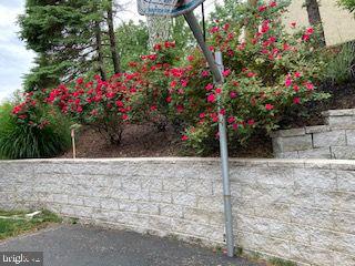 154 Poplar Road Newtown Square, PA 19073 - Photo 53 of 56 Spring flowers.