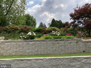 154 Poplar Road Newtown Square, PA 19073 - Photo 54 of 56 Spring flowers.