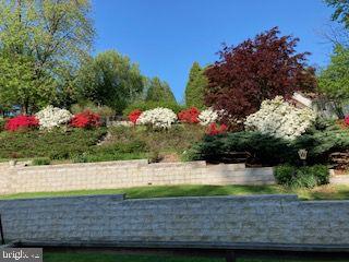 154 Poplar Road Newtown Square, PA 19073 - Photo 56 of 56 Spring flowers.