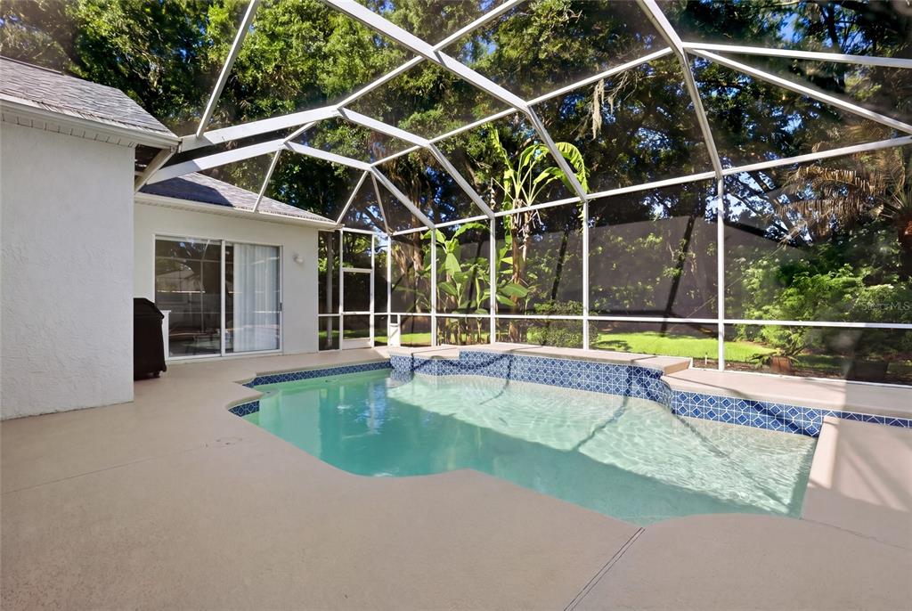 3205 Partridge Point Trail Valrico, FL 33596 - Photo 41 of 50