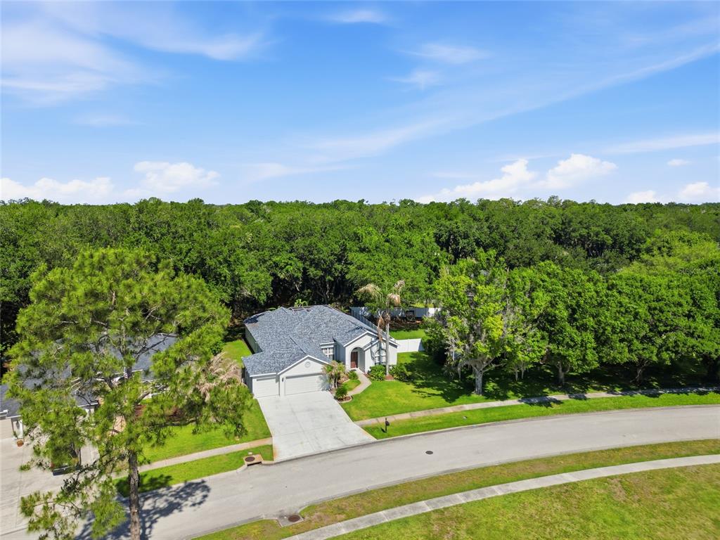 3205 Partridge Point Trail Valrico, FL 33596 - Photo 46 of 50