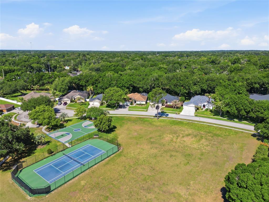 3205 Partridge Point Trail Valrico, FL 33596 - Photo 49 of 50