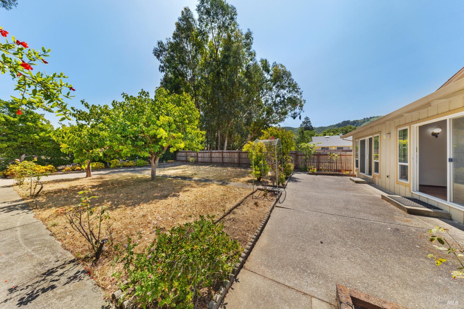 32 Roosevelt Avenue San Rafael, CA 94903 - Photo 32 of 40 a view of a backyard with plants and tree