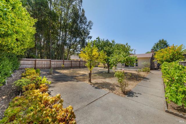 a view of a patio with plants and trees