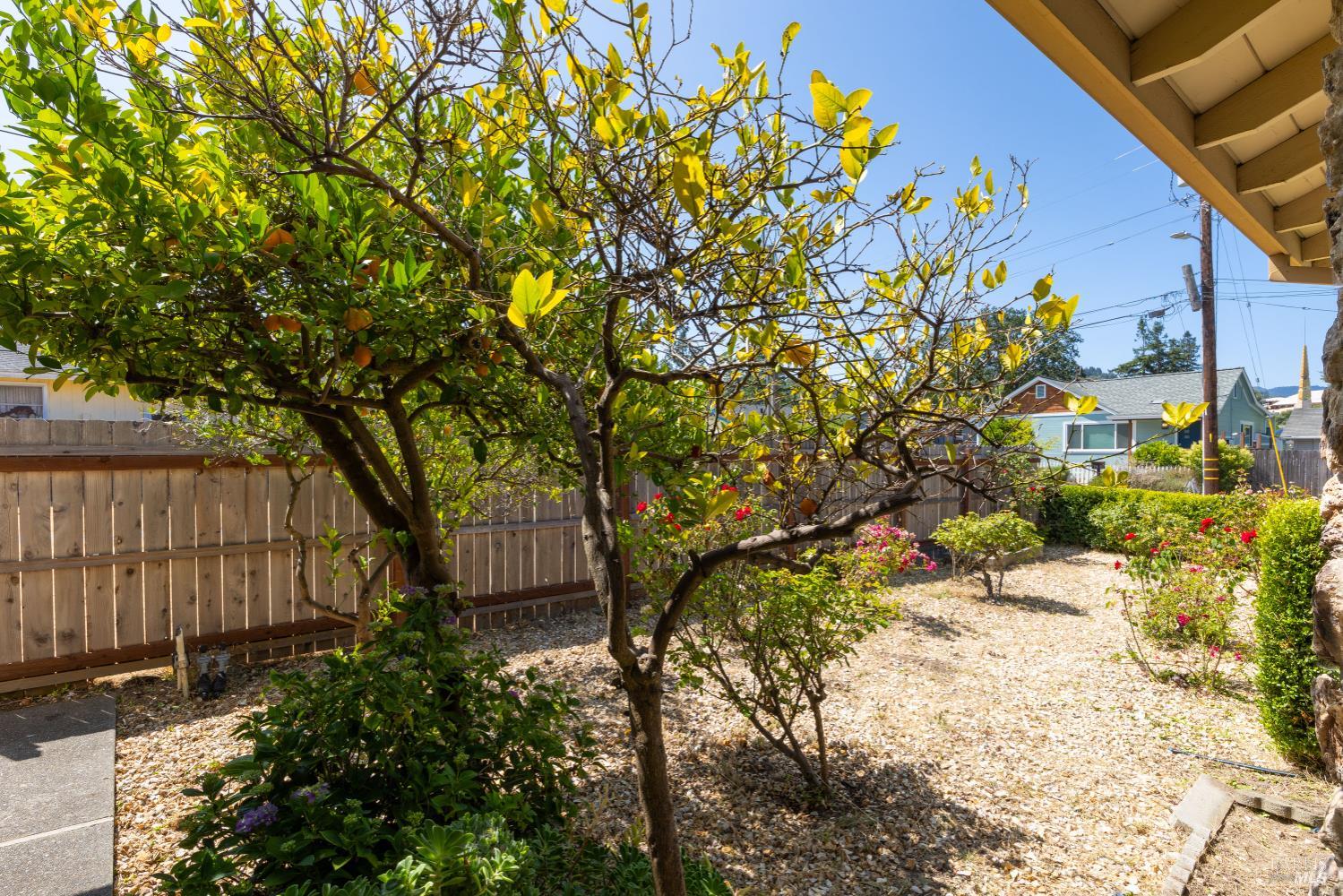 32 Roosevelt Avenue San Rafael, CA 94903 - Photo 5 of 40 a backyard of a house with lots of green space