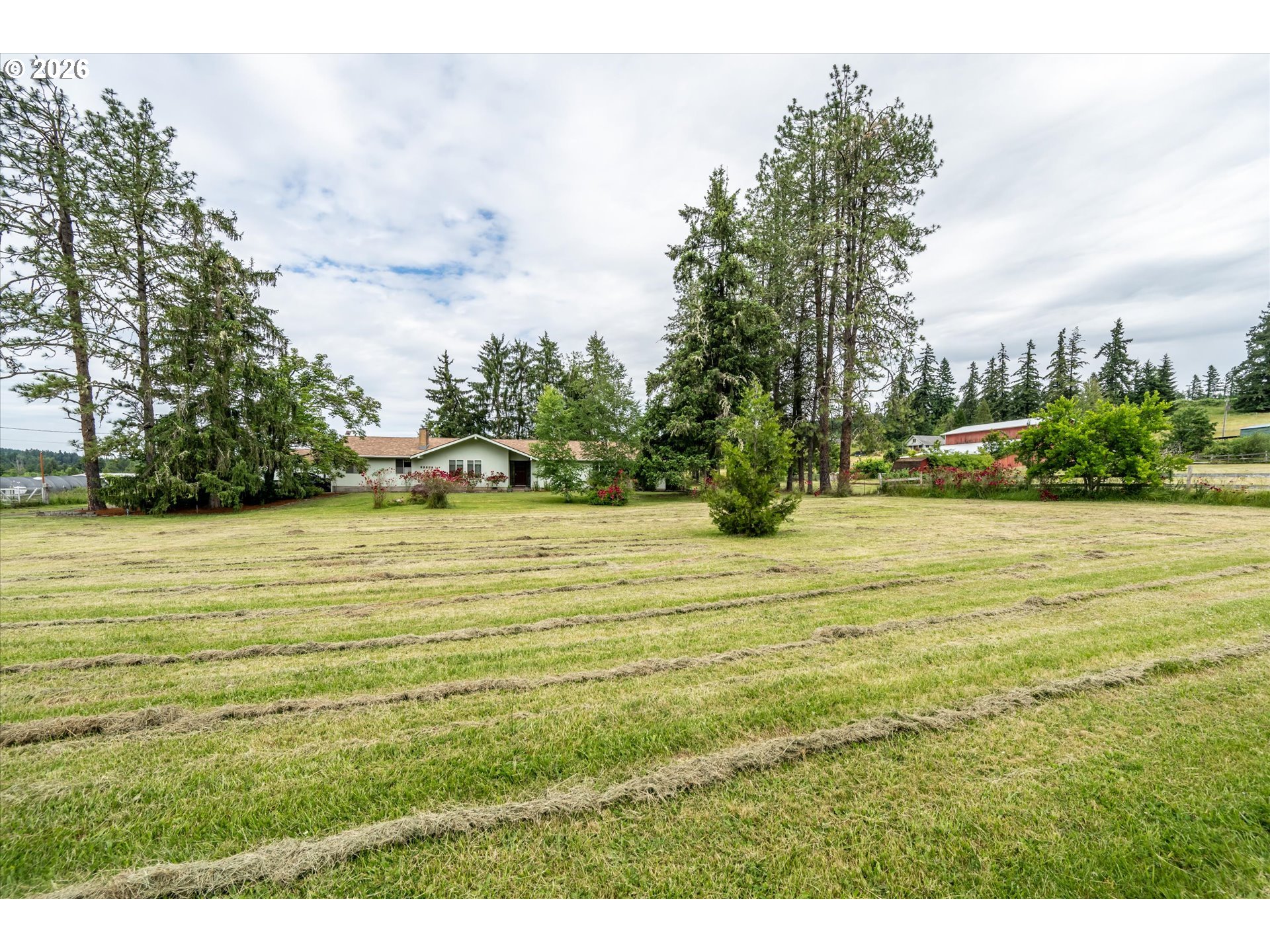 82086 Lost Creek Road Dexter, OR 97431 - Photo 28 of 42 Yard