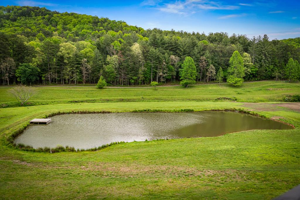 270 Ausburn Road Blue Ridge, GA 30513 - Photo 62 of 96