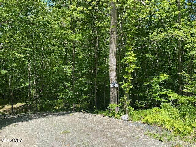 45 Weaver Dam Road Petersburgh, NY 12138 - Photo 16 of 21 IMG_5991