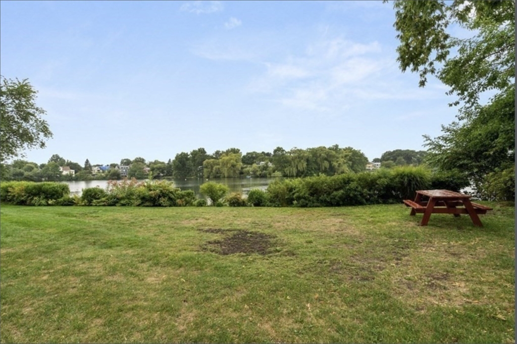 34 Hamilton Road, Unit 210 Arlington, MA 02474 - Photo 4 of 12