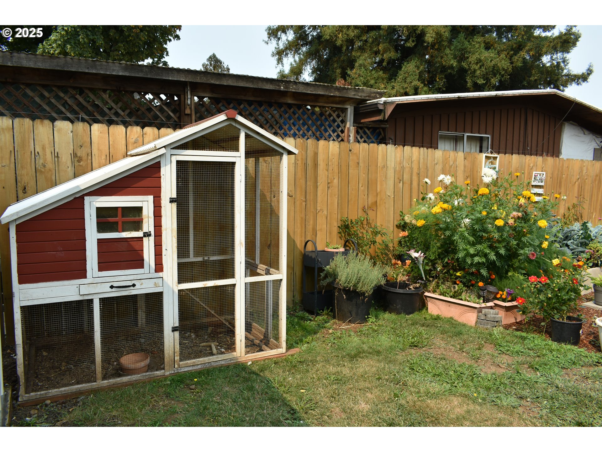 1727 East Washington Avenue Cottage Grove, OR 97424 - Photo 13 of 20 a backyard of a house with lots of green space