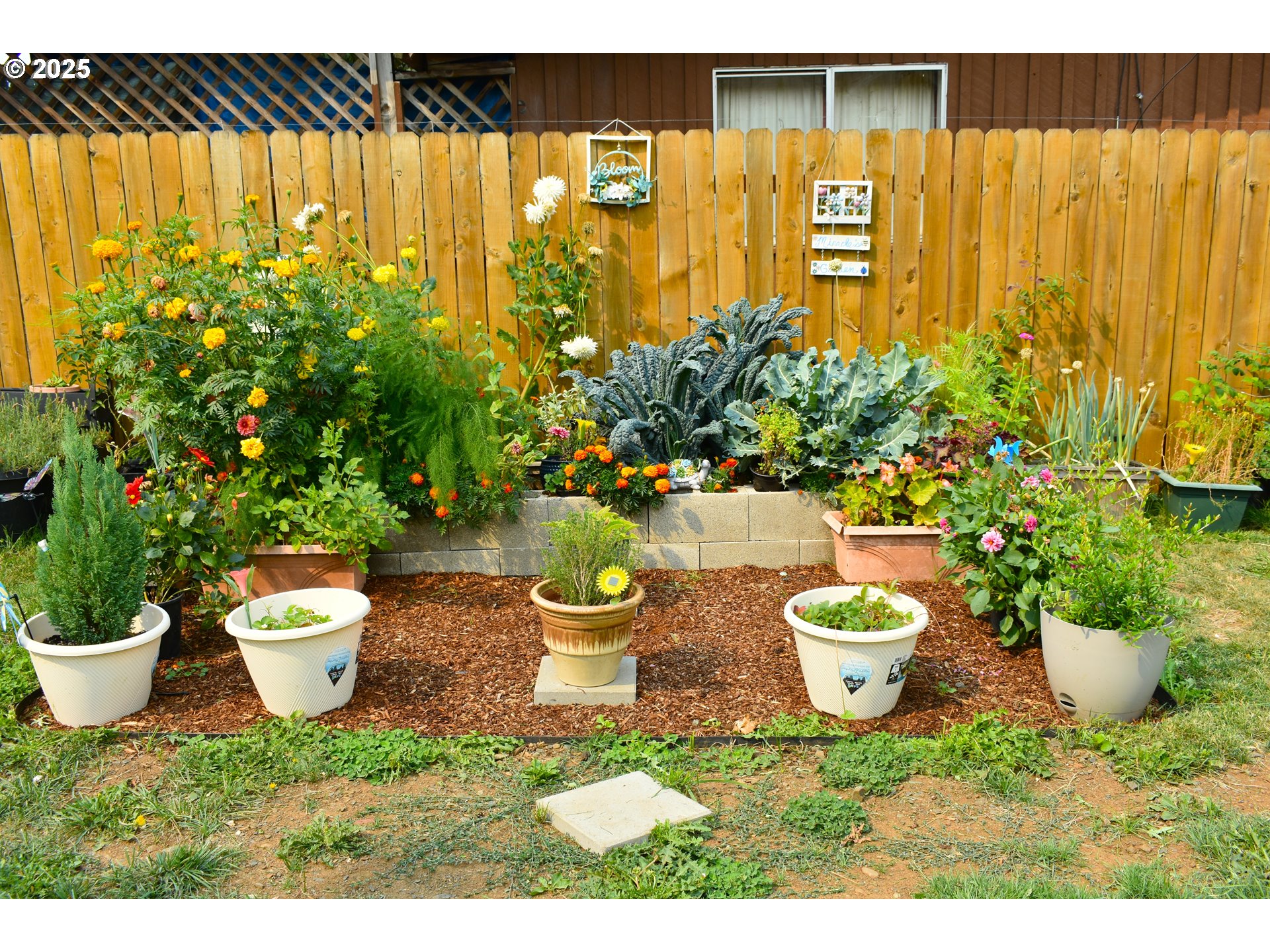1727 East Washington Avenue Cottage Grove, OR 97424 - Photo 18 of 20 a view of a potted plants sitting in backyard of a house
