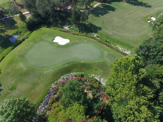 a view of a water fountain with large trees
