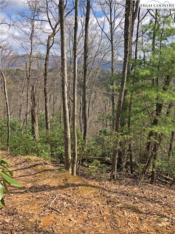 9252 Headwaters Road Lenoir, NC 28645 - Photo 31 of 41 Gallery Image 31