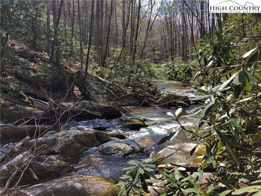 9252 Headwaters Road Lenoir, NC 28645 - Photo 35 of 41 Gallery Image 35