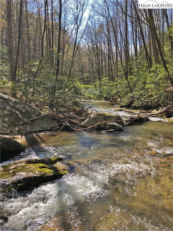 9252 Headwaters Road Lenoir, NC 28645 - Photo 5 of 41 Gallery Image 5