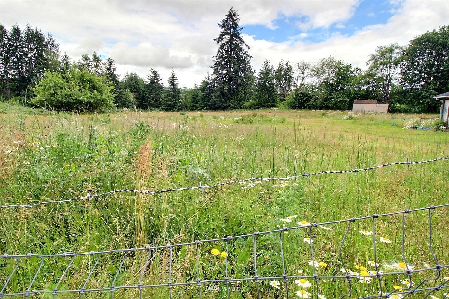 156 Elk Creek Road Chehalis, WA 98532 - Photo 36 of 39 a view of a garden