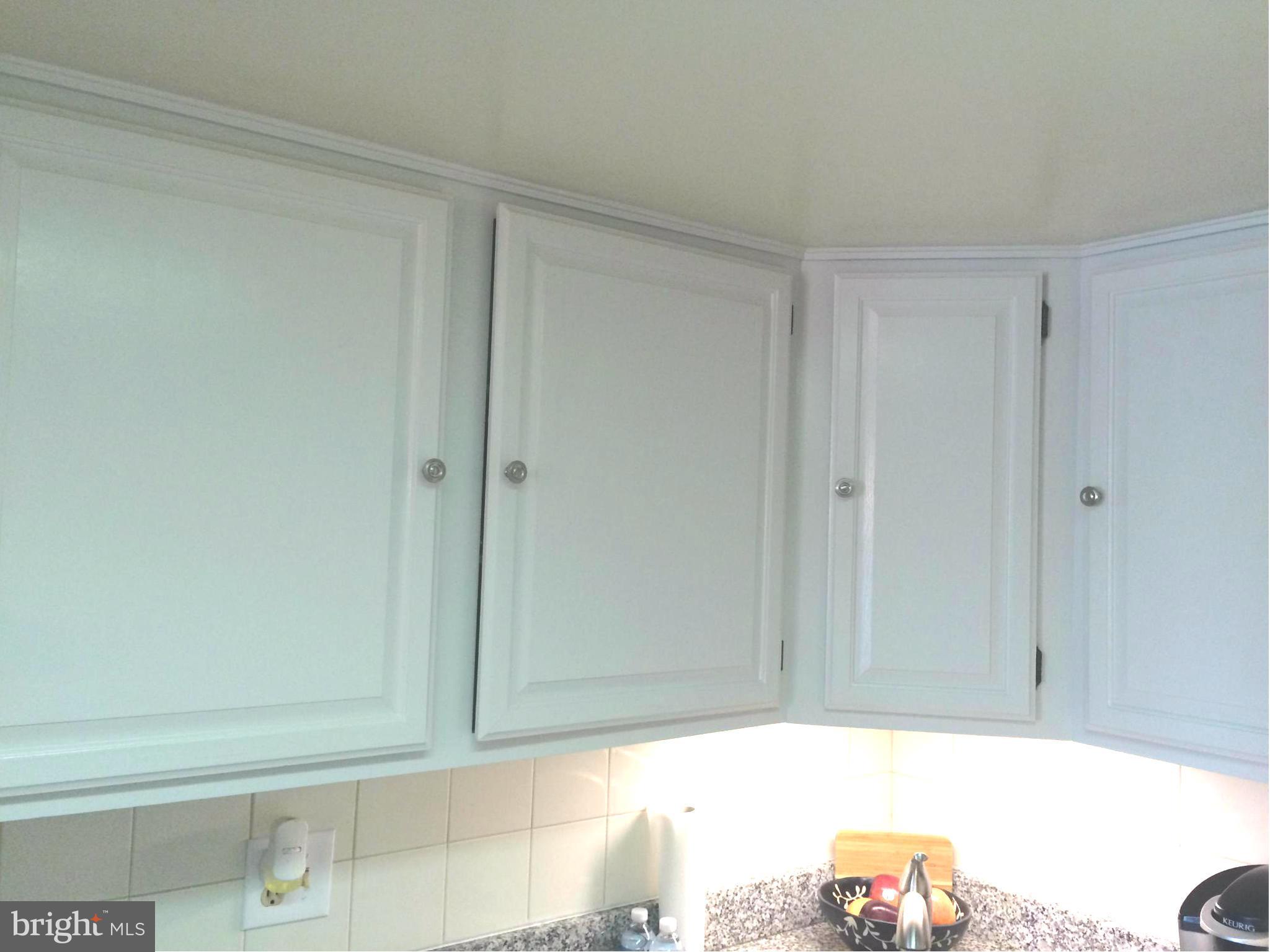 1558 Northgate Square, Unit 21A Reston, VA 20190 - Photo 8 of 18 Kitchen cabinets