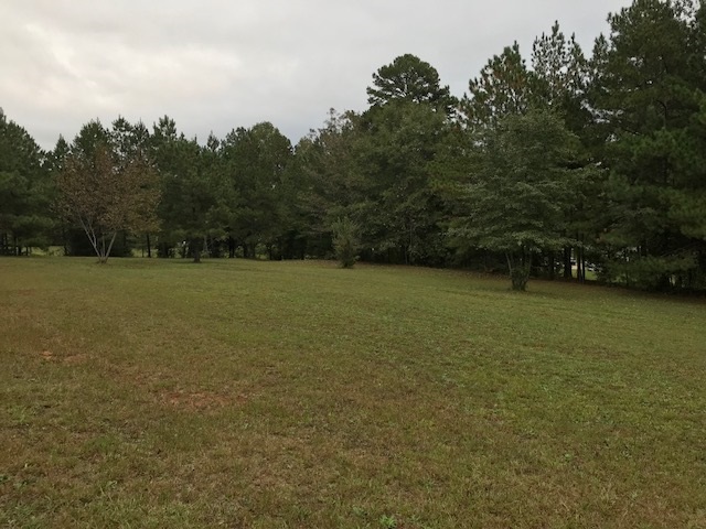 515 Shanty Ridge Road Walhalla, SC 29691 - Photo 11 of 28 Gallery Image 11
