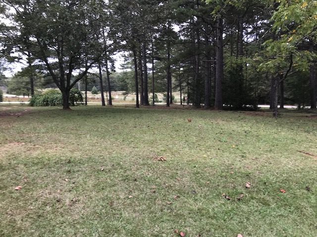 515 Shanty Ridge Road Walhalla, SC 29691 - Photo 17 of 28 Gallery Image 17