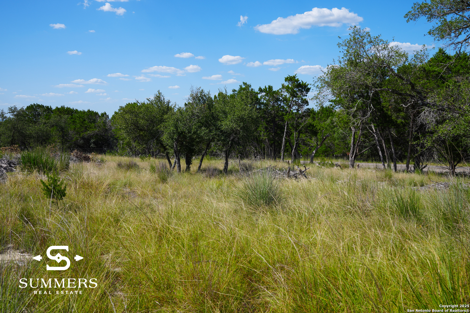 502 Waring Welfare Road Boerne, TX 78006 - Photo 11 of 33 a view of a garden