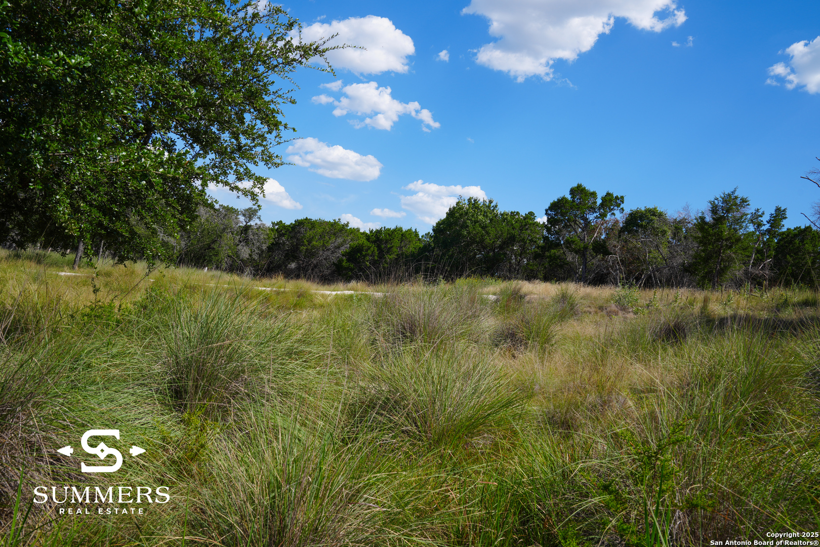 502 Waring Welfare Road Boerne, TX 78006 - Photo 12 of 33 a view of lake